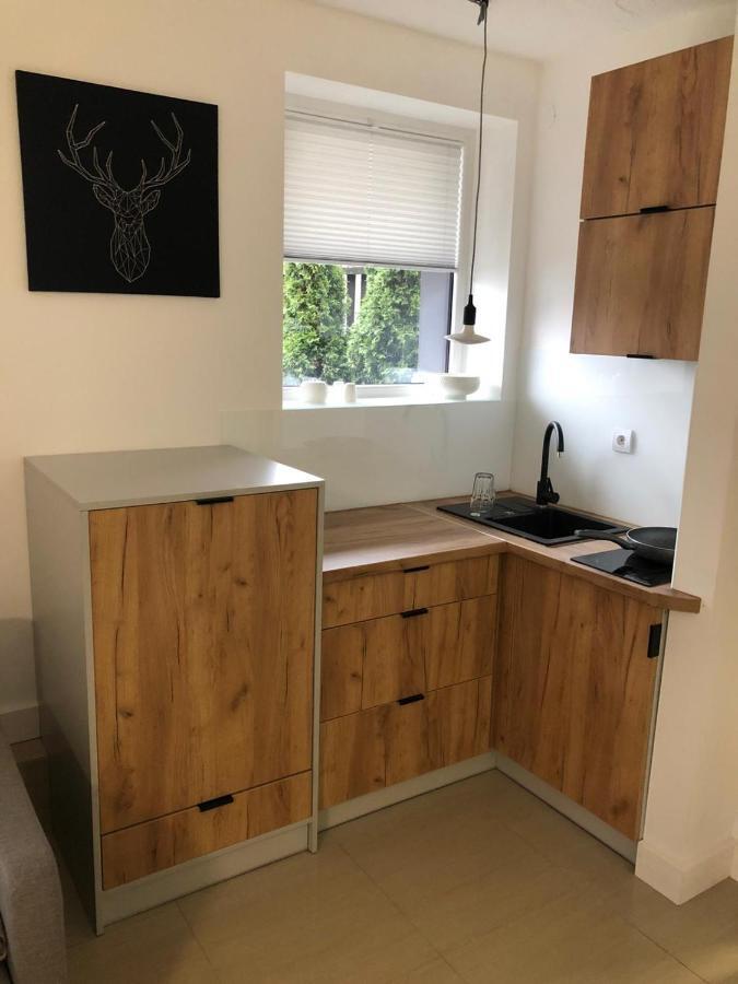 Beskidski Apartment *